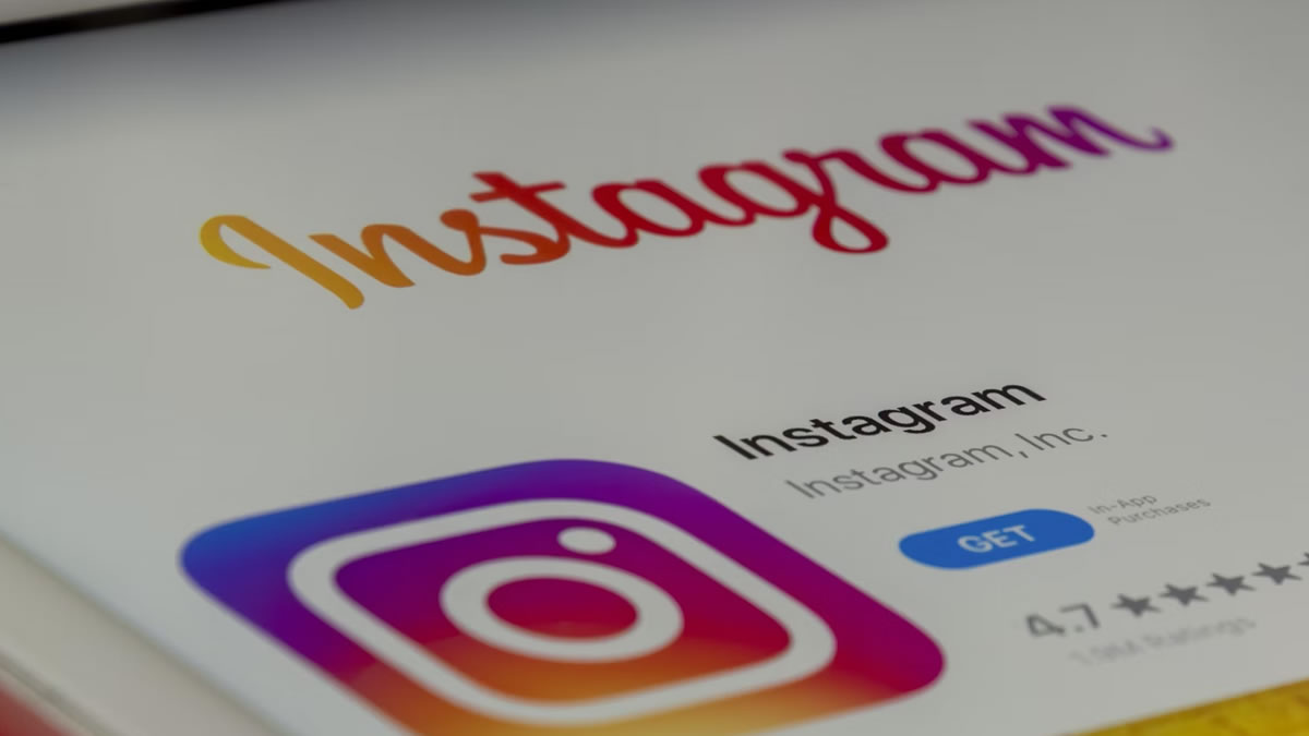O que significa dump no Instagram? Saiba aqui! 1 dddddd